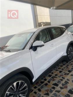 جیتۆر داشينگ